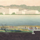Potomac rises: The trees wither under pools of water